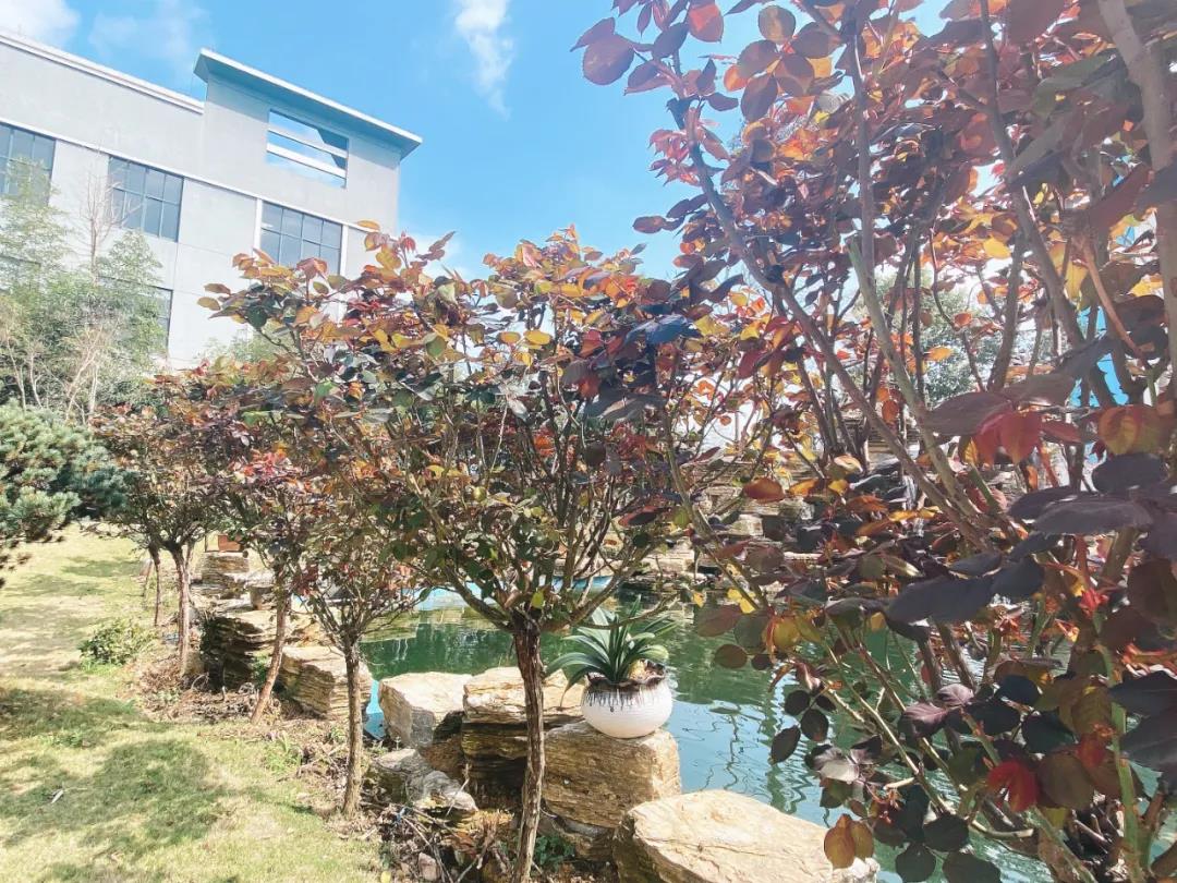 風景這邊獨好!東大環境美景一覽,請查收