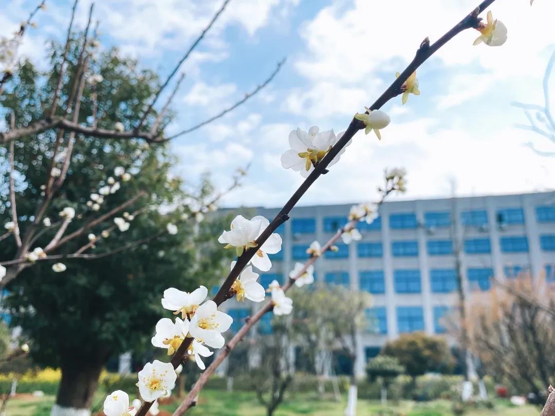 風景這邊獨好!東大環境美景一覽,請查收